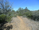 photo thumbnail #11