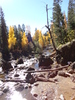 photo thumbnail #5