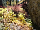 photo thumbnail #10