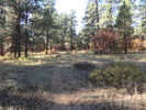 photo thumbnail #2