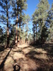 photo thumbnail #5