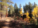 photo thumbnail #6
