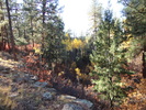 photo thumbnail #7