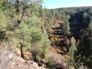 photo thumbnail #8