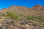 photo thumbnail #6