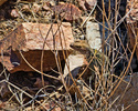 photo thumbnail #10