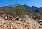 photo thumbnail #14