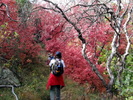 photo thumbnail #13