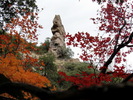 photo thumbnail #14