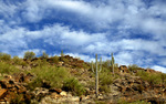 photo thumbnail #2