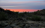 photo thumbnail #7