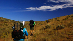 photo thumbnail #3