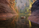 photo thumbnail #9