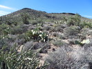 photo thumbnail #2