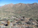 photo thumbnail #3