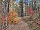 photo thumbnail #2
