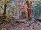 photo thumbnail #5