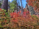 photo thumbnail #10