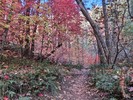 photo thumbnail #12