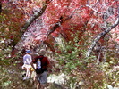 photo thumbnail #1