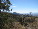 photo thumbnail #7