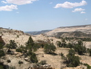photo thumbnail #8