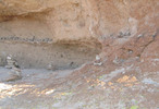 photo thumbnail #6