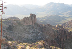 photo thumbnail #12