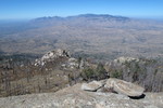photo thumbnail #4