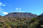 photo thumbnail #6