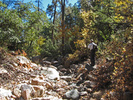photo thumbnail #6