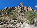 photo thumbnail #9