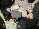 photo thumbnail #2