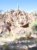 photo thumbnail #5