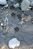photo thumbnail #15