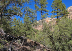 photo thumbnail #6