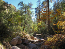 photo thumbnail #10