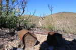 photo thumbnail #9