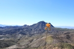 photo thumbnail #11
