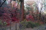 photo thumbnail #11