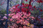photo thumbnail #15