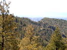photo thumbnail #4