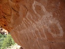 photo thumbnail #13