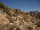 photo thumbnail #1