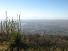 photo thumbnail #10