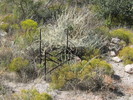 photo thumbnail #8