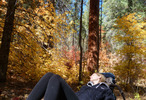 photo thumbnail #12