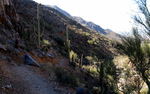 photo thumbnail #3