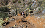 photo thumbnail #5
