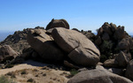 photo thumbnail #13